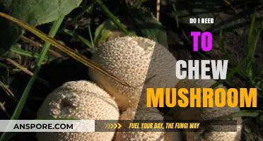 Should You Chew Mushrooms? Exploring Edible Fungi Consumption Methods