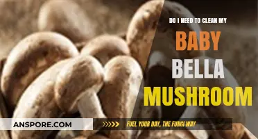 Should You Clean Baby Bella Mushrooms? A Quick Guide