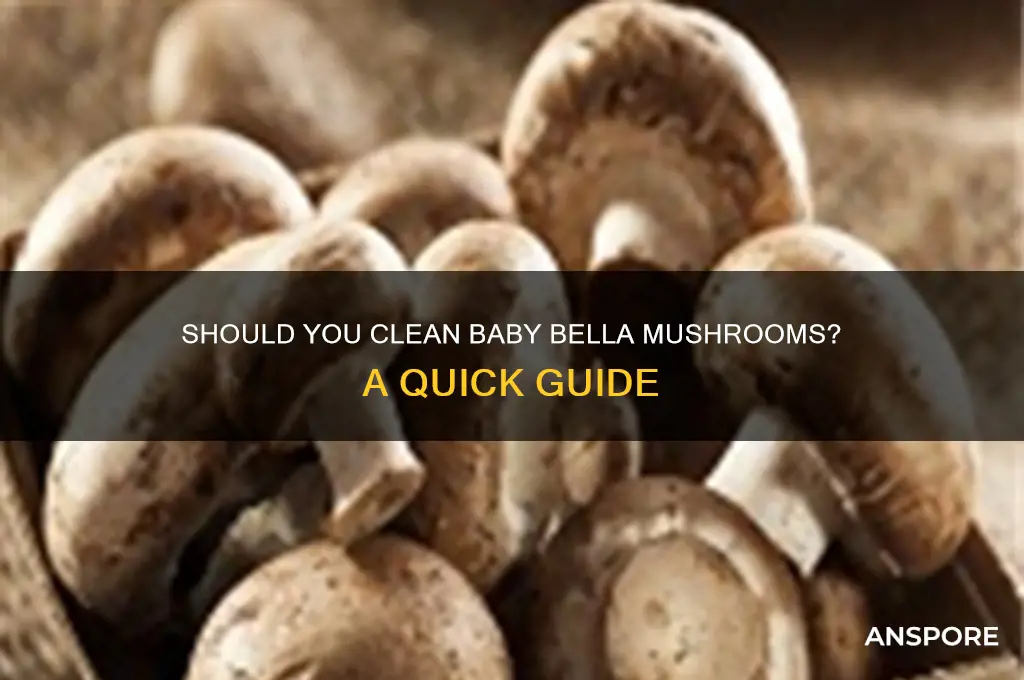 do i need to clean my baby bella mushrooms