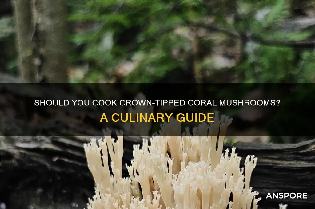do i need to cook crown tipped coral mushrooms