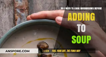 Should You Cook Mushrooms Before Adding Them to Soup?