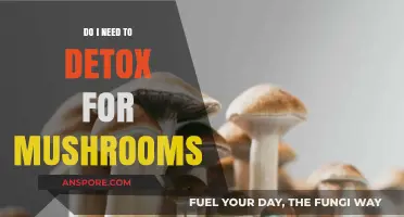 Mushroom Detox: Necessary or Not? Unraveling the Truth for Safe Use