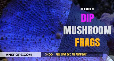 Should You Dip Mushroom Frags? A Guide to Proper Care