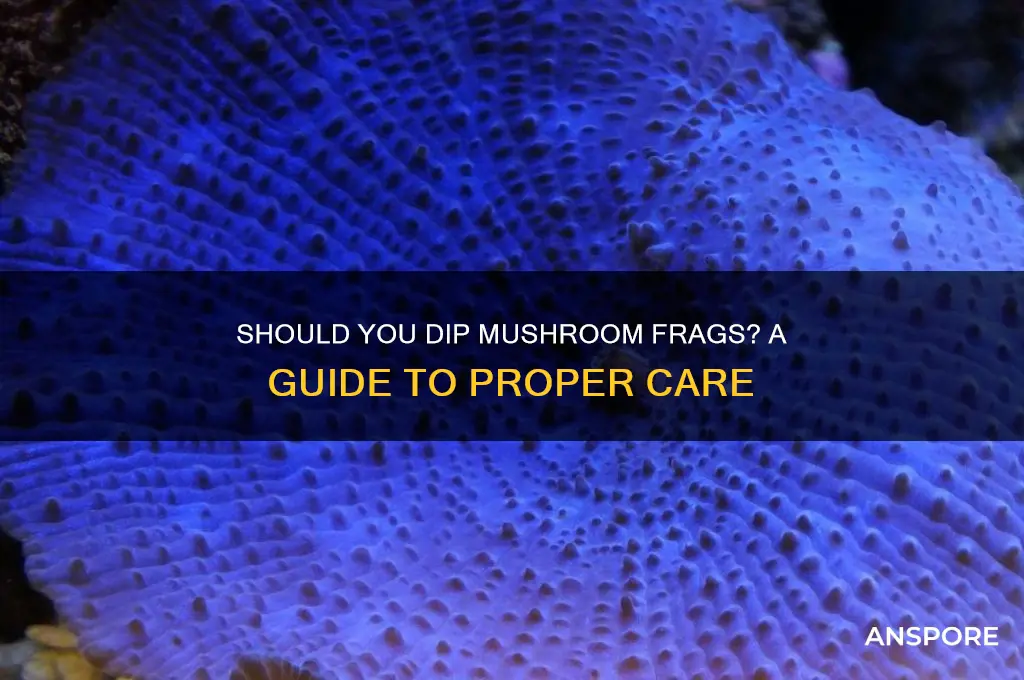 do i need to dip mushroom frags