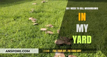 Should You Remove Mushrooms in Your Yard? A Homeowner's Guide