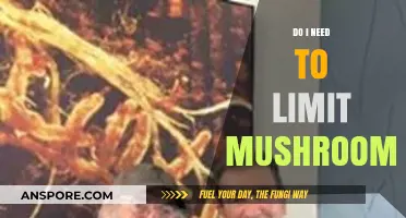 Should You Limit Mushroom Intake? Health Benefits and Risks Explained