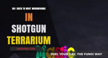 Mist or Not? Mushroom Care in Shotgun Terrariums Explained