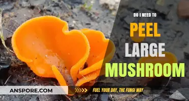 Should You Peel Large Mushrooms? A Quick Kitchen Guide
