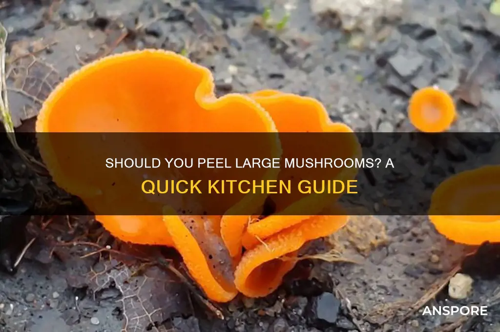 do i need to peel large mushrooms