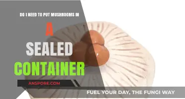 Sealed or Not? Storing Mushrooms for Freshness and Flavor