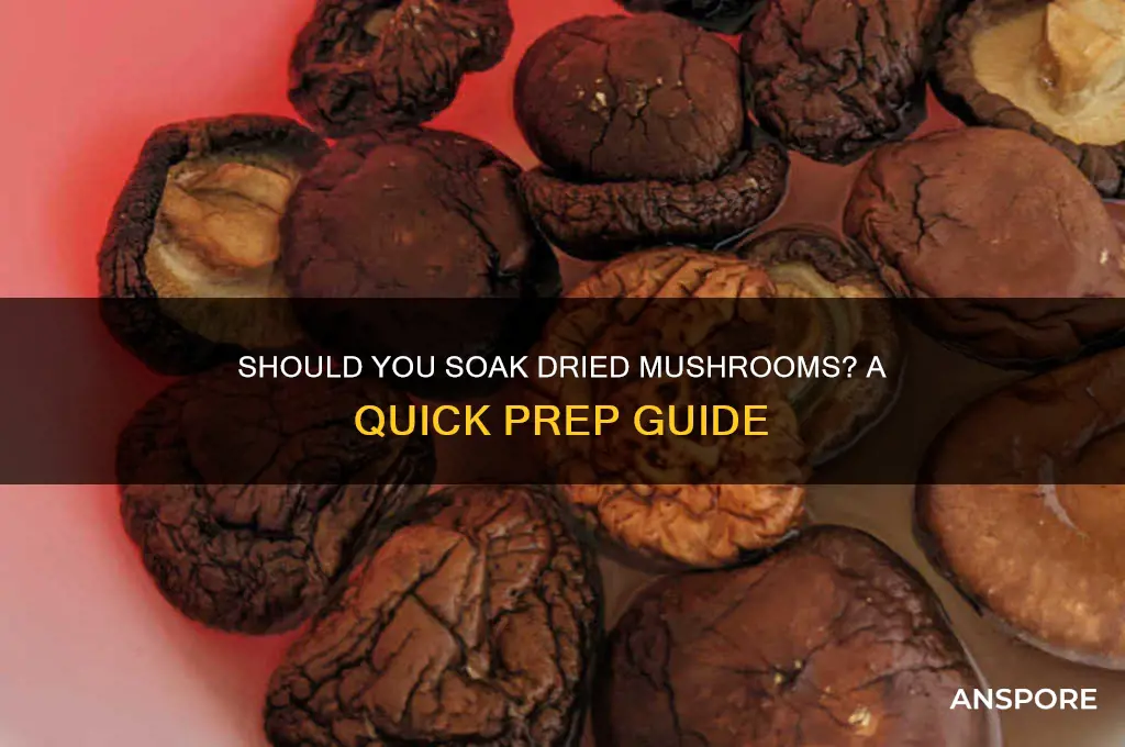 do i need to soak dried mushrooms