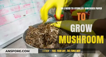 Sterilizing Shredded Paper for Mushroom Cultivation: Essential or Optional?