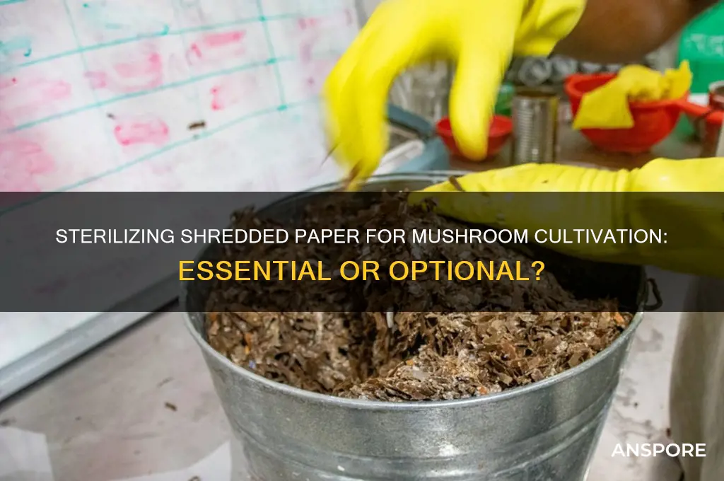 do i need to sterilize shredded paper to grow mushrooms