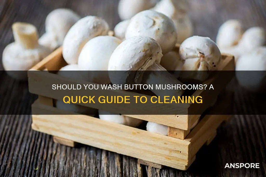 do i need to wash button mushrooms