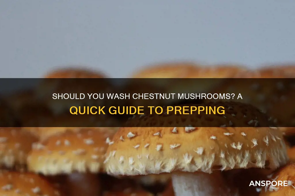 do i need to wash chestnut mushrooms