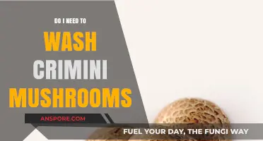 Should You Wash Crimini Mushrooms? A Quick Cleaning Guide