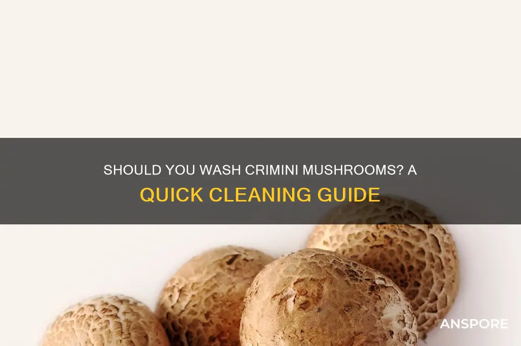 do i need to wash crimini mushrooms