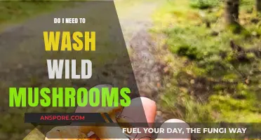 Should You Wash Wild Mushrooms? Essential Tips for Safe Preparation