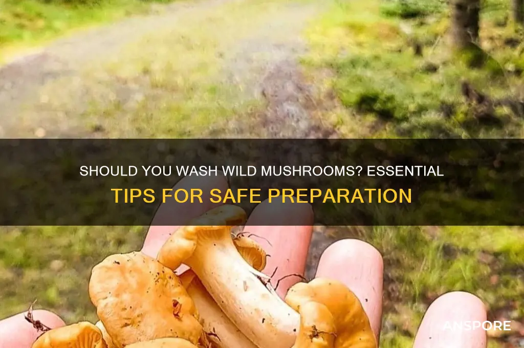 do i need to wash wild mushrooms