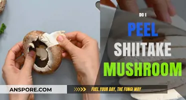How to Prepare Shiitake Mushrooms: To Peel or Not?