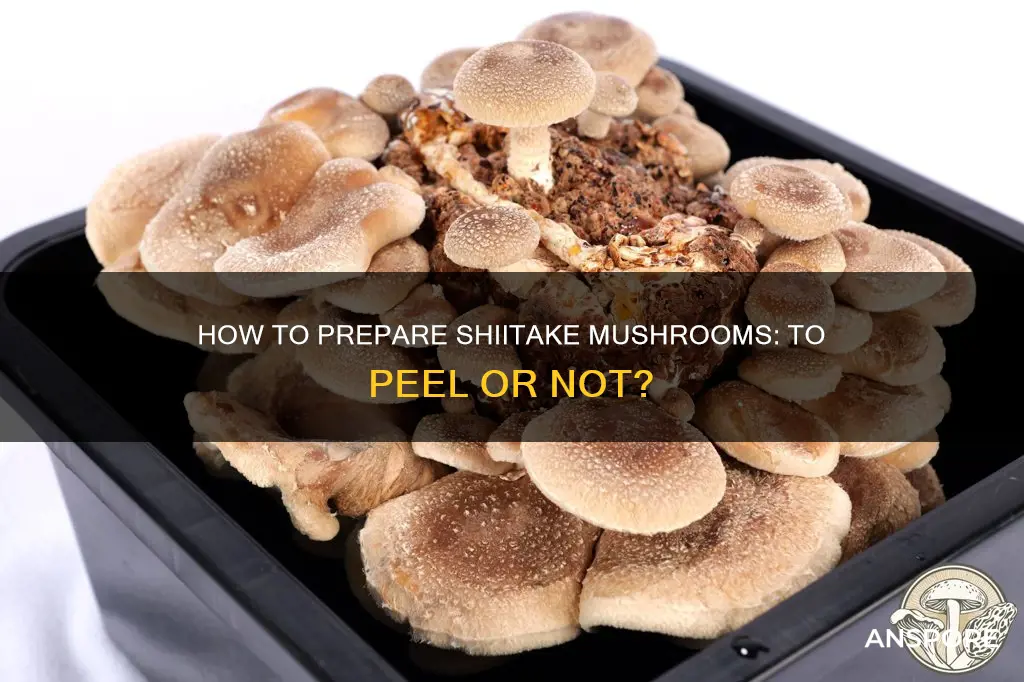do i peel shiitake mushrooms