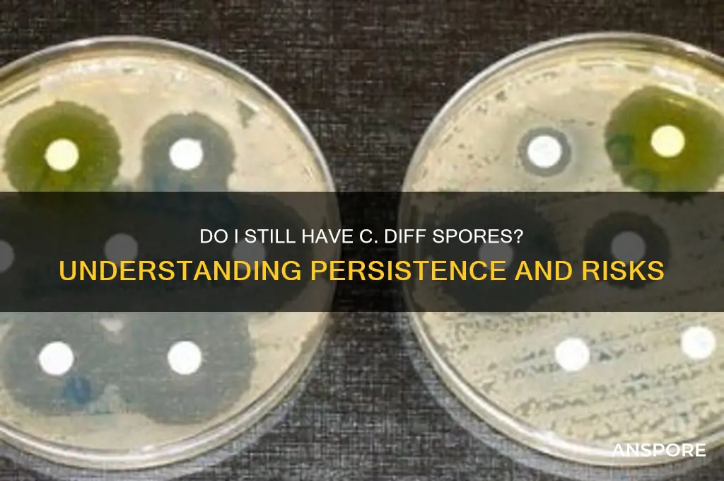 do i still have c diff spores