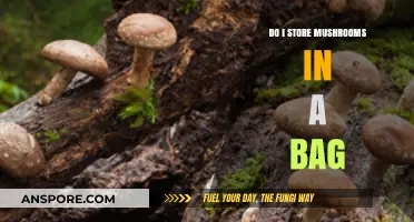 Storing Mushrooms: Bag or No Bag? Expert Tips for Freshness