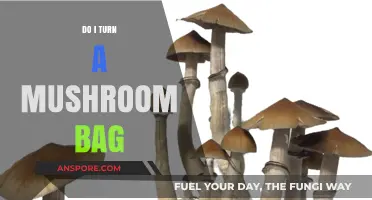 How to Successfully Turn a Mushroom Grow Bag for Optimal Yield