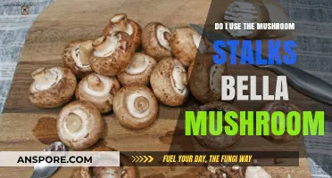 Should You Use Bella Mushroom Stalks? A Culinary Guide