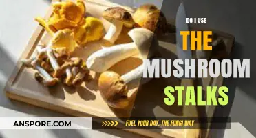 Mushroom Stalks: Should You Use Them or Toss Them?