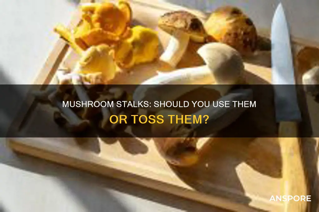 do i use the mushroom stalks