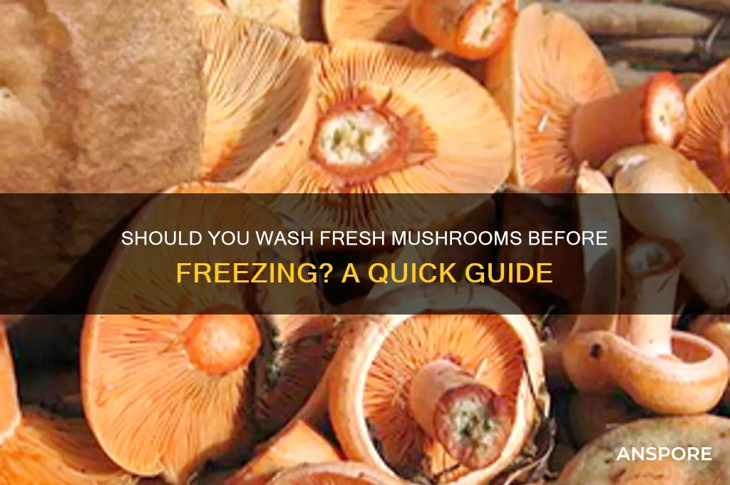 do i wash fresh mushrooms before i freeze them
