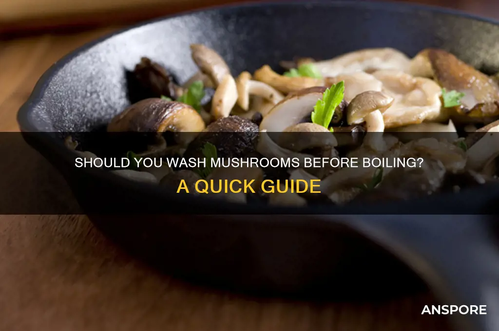 do i wash mushroom before boiling