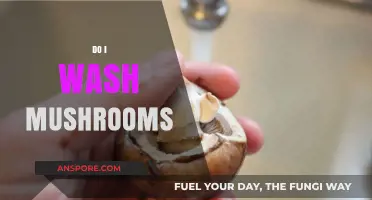 Washing Mushrooms: To Rinse or Not to Rinse?