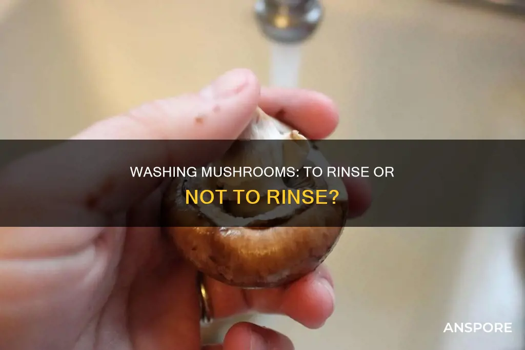 do i wash mushrooms