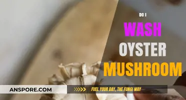 Washing Oyster Mushrooms: To Wash or Not to Wash?