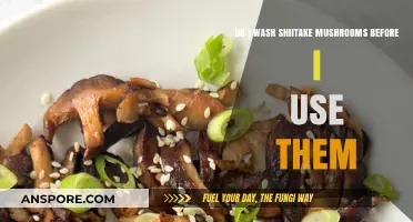 Should You Wash Shiitake Mushrooms Before Cooking? Expert Tips