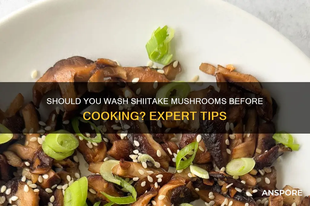 do i wash shiitake mushrooms before i use them