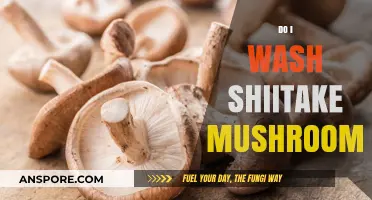Shiitake Mushrooms: To Wash or Not to Wash?