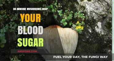 Immune Mushrooms and Blood Sugar: Fact or Fiction?