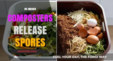 Do Indoor Composters Release Spores? Understanding Risks and Solutions