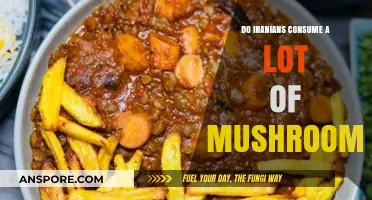 Exploring Iranian Cuisine: How Much Do Iranians Really Eat Mushrooms?