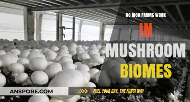 Iron Farms in Mushroom Biomes: Do They Really Work?