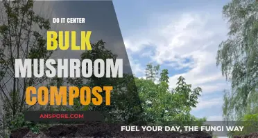Bulk Mushroom Compost: Benefits, Uses, and Tips for Your Garden