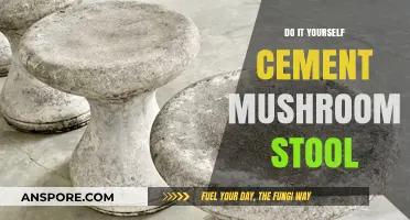 Craft Your Own Cement Mushroom Stool: A DIY Garden Project