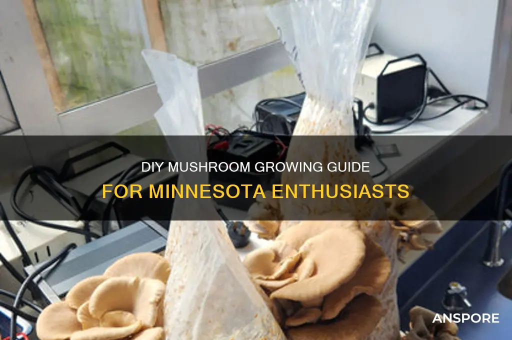 do it yourself mushroom grower minnesota