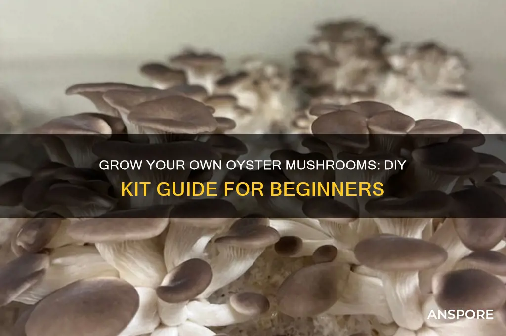 do it yourself oyster mushroom kit