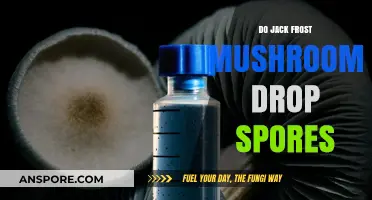 Do Jack Frost Mushrooms Release Spores? A Fungal Mystery Explored