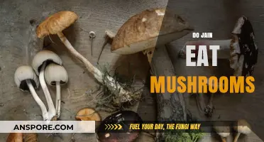 Do Jains Eat Mushrooms? Exploring Jain Dietary Practices and Beliefs