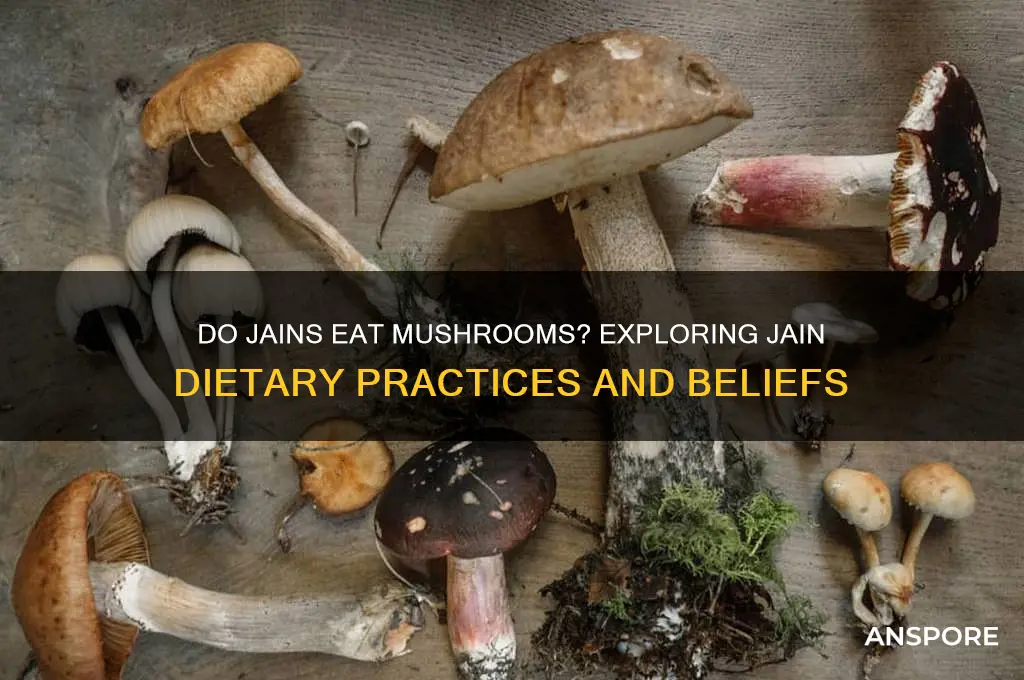 do jain eat mushrooms
